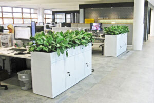 кашпо для озеленения офиса какие горшки выбрать для растений на работе