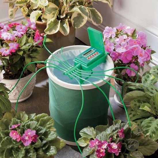 полив домашних комнатных растений во время отъезда или отпуска варианты идеи как организовать